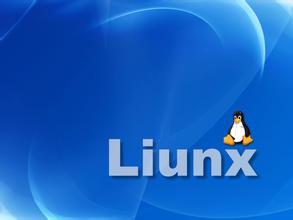 Linux常用命令之ping